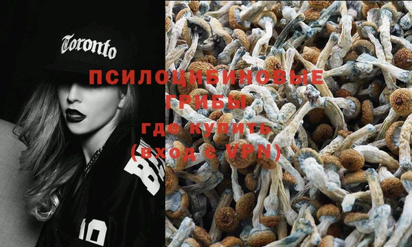 шишки Бронницы