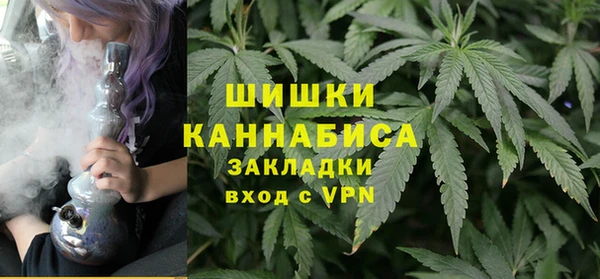 шишки Бронницы