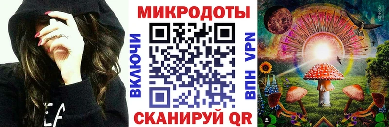 кракен зеркало Кочубеевское Галлюциногенные грибы мицелий